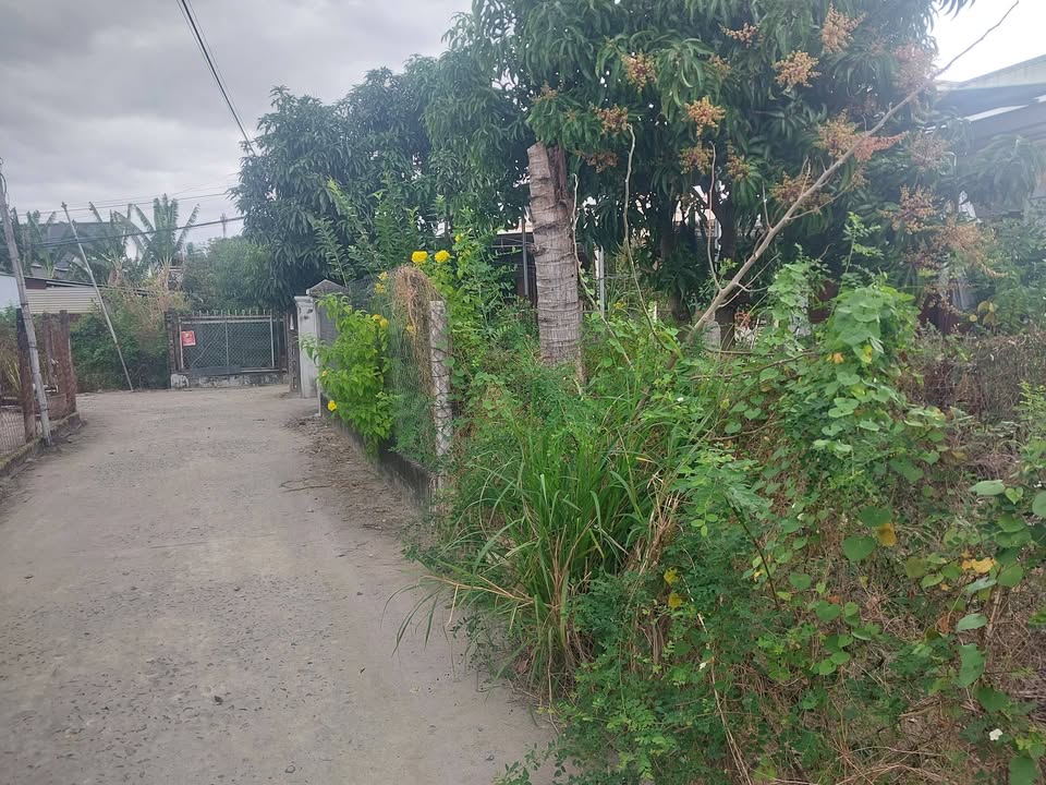 Đất nền Cam Hòa Cam Lâm 160m² giá 1.25 tỷ - Đường nhựa rộng ô tô vào tận nơi!