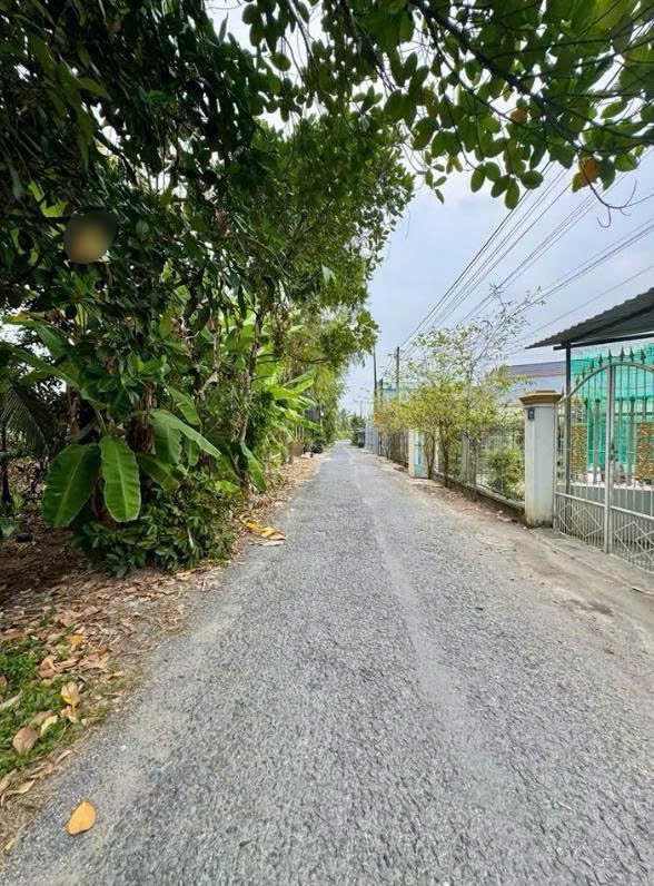 Đất thổ cư 147m² Tân Phú Trung, Củ Chi giá 600 triệu - Nhà cấp 4 có thể vào ở ngay!