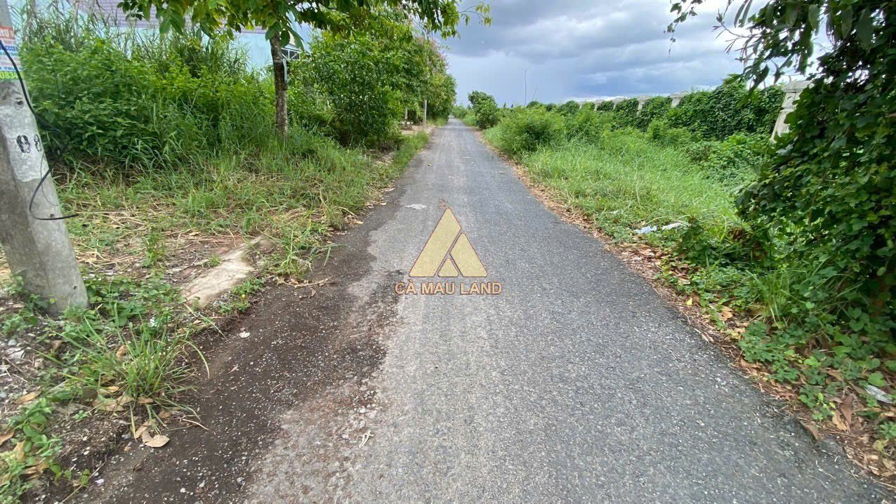 Đất nền đường số 5, phường Tân Xuyên, TP Cà Mau 99m² - Sổ hồng chính chủ, thổ cư 100%!
