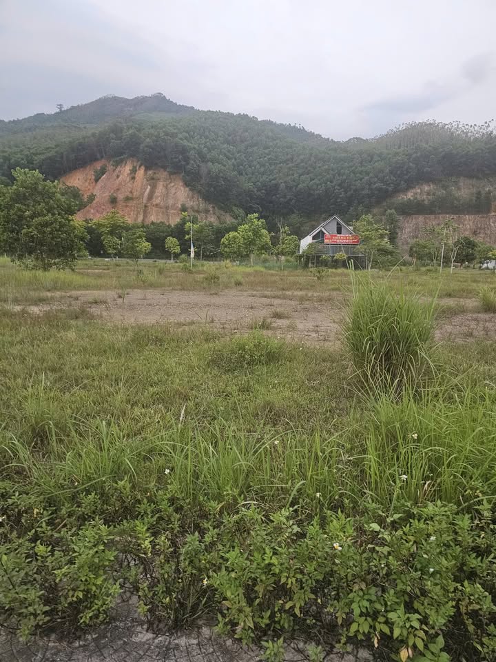 Lô đất trung tâm khu đô thị Bến Sơn, Yên Lập, Phú Thọ 198m² giá 7.128 tỷ - Đầu tư lý tưởng!