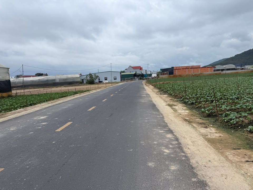 Đất thổ cư Đơn Dương 280m² giá 3.4 tỷ - Địa điểm lý tưởng cho đầu tư!