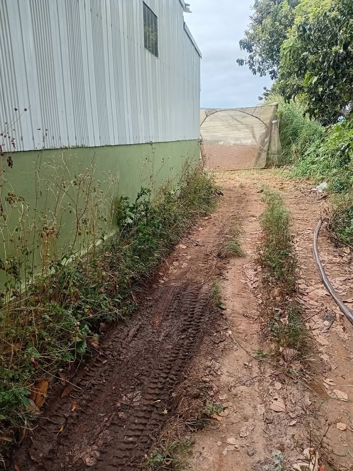 Đất nông nghiệp 1951m² xã Ka Đô, Đơn Dương - Pháp lý rõ ràng, giá chỉ 1.2 tỷ!