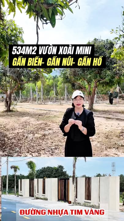 Đất nền Phước Hải 540m² giá 3.25 tỷ - Mặt tiền đường nhựa, cách biển chỉ 3km!