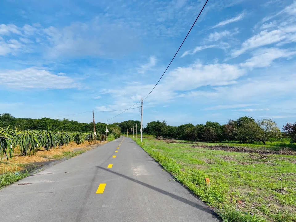 Đất nền Bưng Riềng Xuyên Mộc 1000m² giá chỉ từ 750 triệu - Cơ hội đầu tư tuyệt vời!