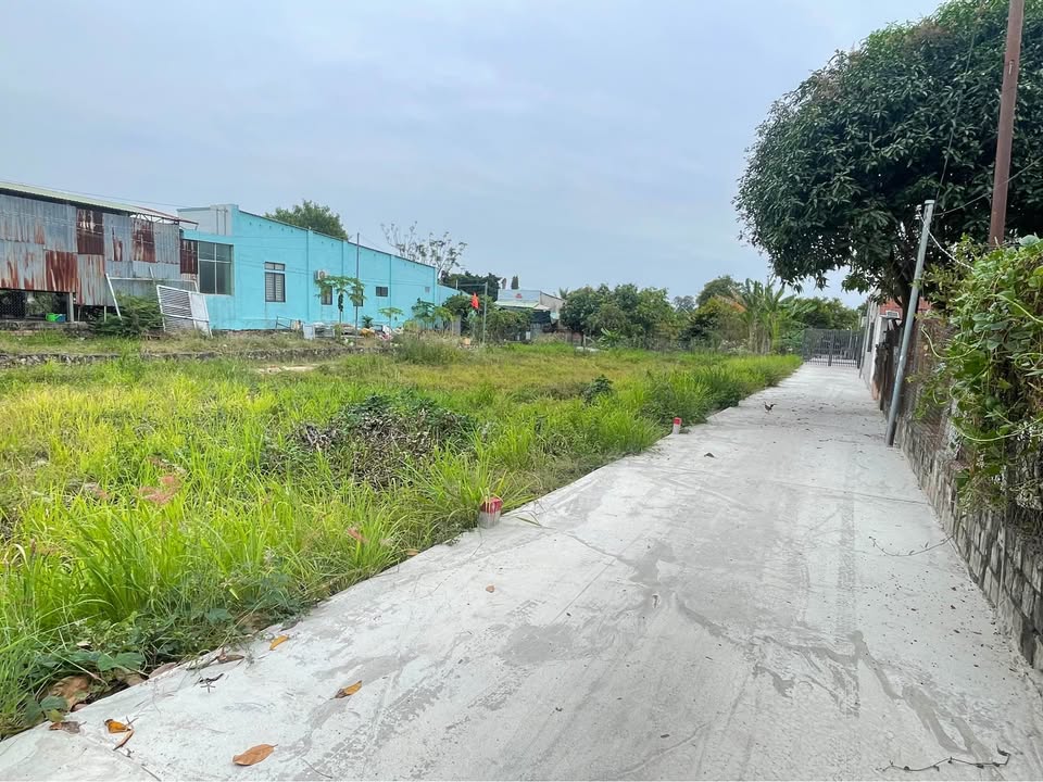 Đất nền Nguyễn An Ninh, Long Hương, 96m², giá 1.3 tỷ - Đầu tư tiềm năng với 2 mặt tiền!