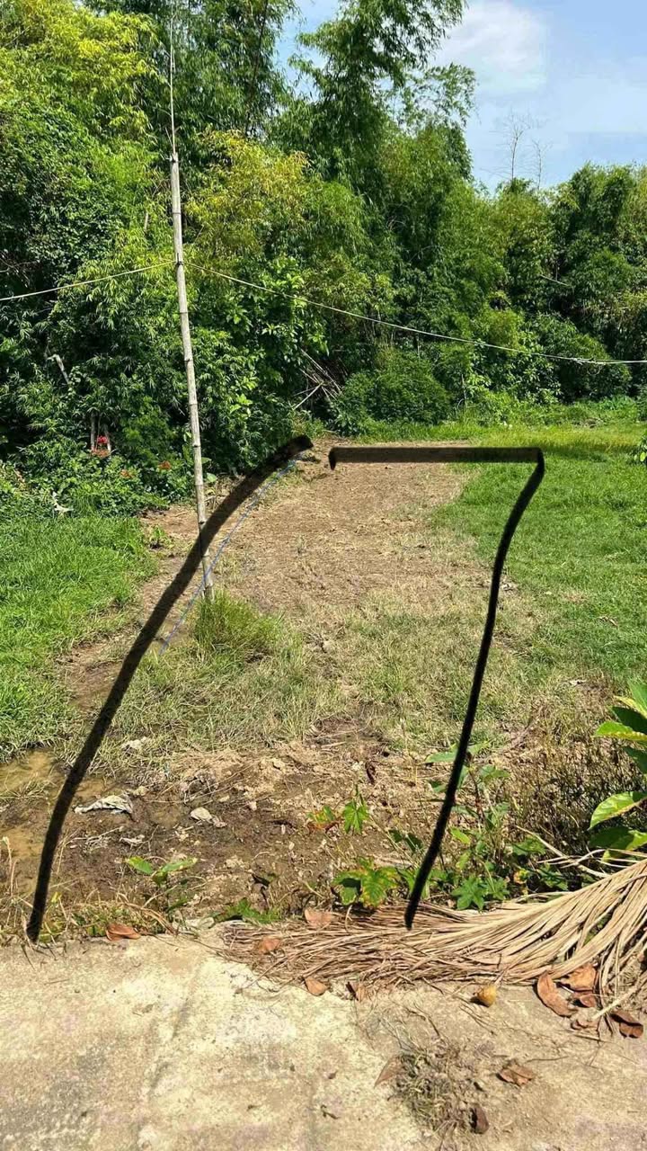 Đất nền Điện Hồng, Điện Bàn 165m² giá chỉ 480 triệu - Cơ hội đầu tư tuyệt vời!