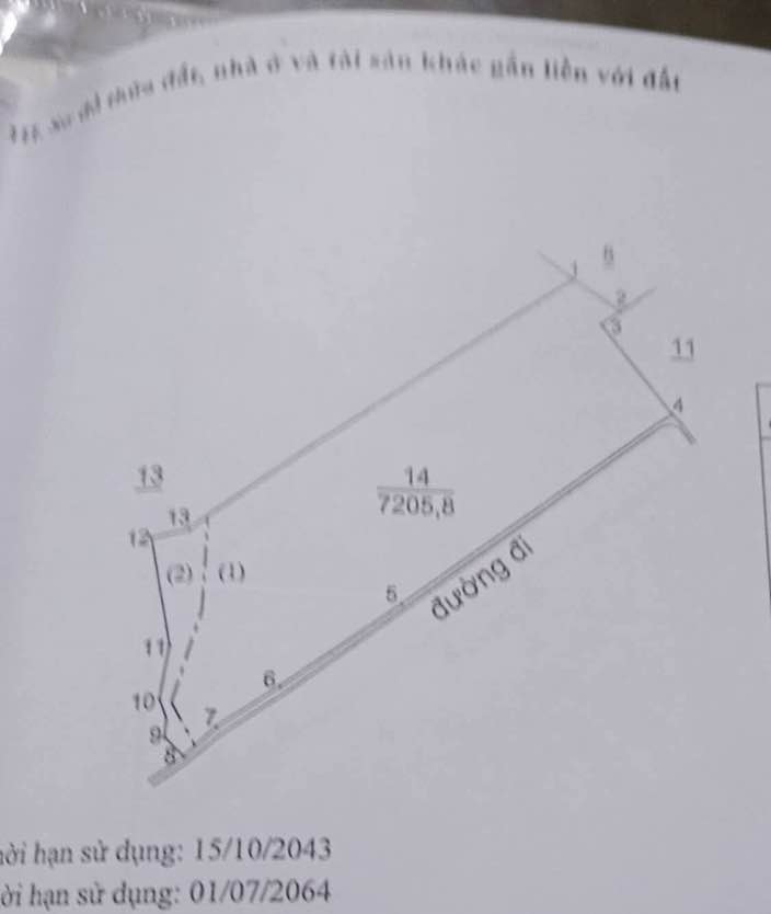 Đất nền 7200m² thôn 4 Tân Lạc Bảo Lâm - Mặt tiền rộng, giá chỉ 700 triệu!