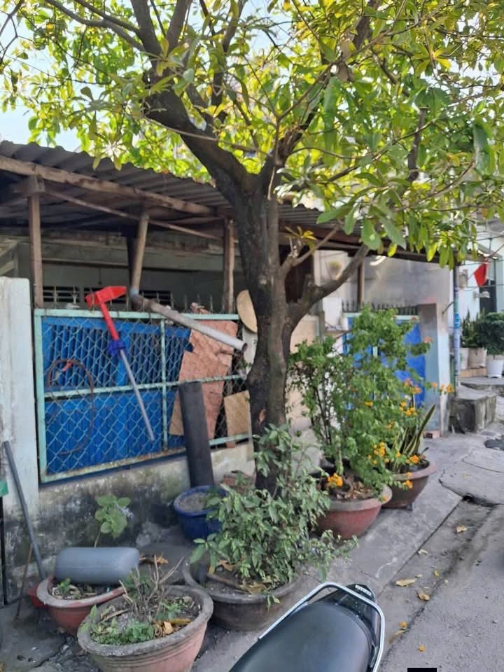 Bán nhà mặt tiền đường Đặng Thúc Vịnh, Hóc Môn - Diện tích 126m² giá 3.6 tỷ - Nở hậu 11m, thuận lợi kinh doanh!