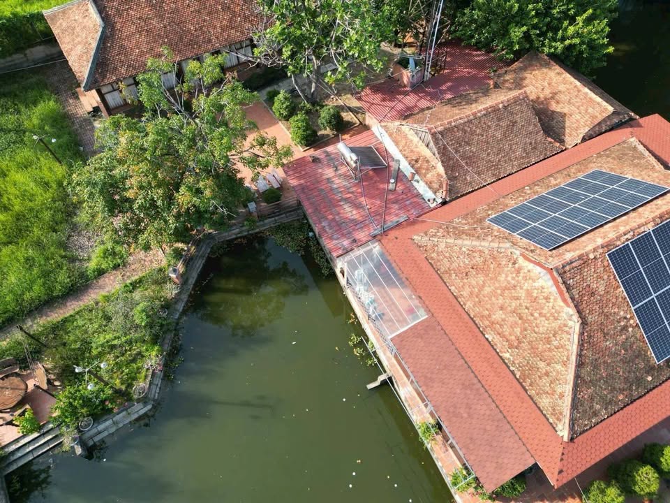 Đất Farm 1 Hecta Mặt Tiền Sông Hưng Long, Bình Chánh - Giá 74,9 tỷ - Tiềm năng đầu tư lớn!