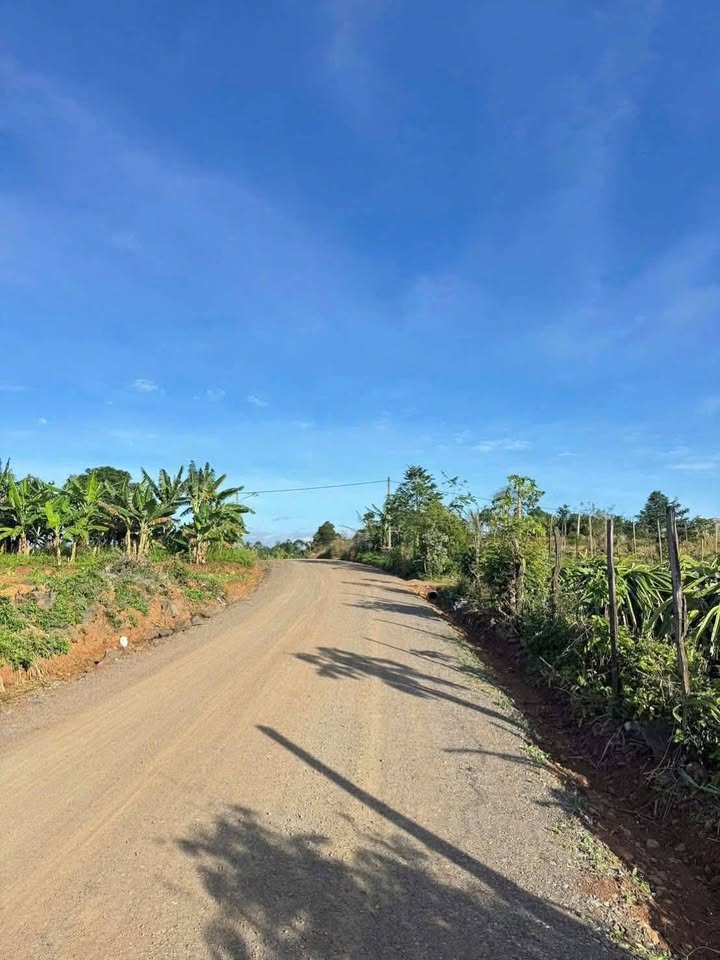 Đất nền phường Buôn Ma Thuột 803m² giá 1.39 tỷ - Đường ô tô vào tận nơi!