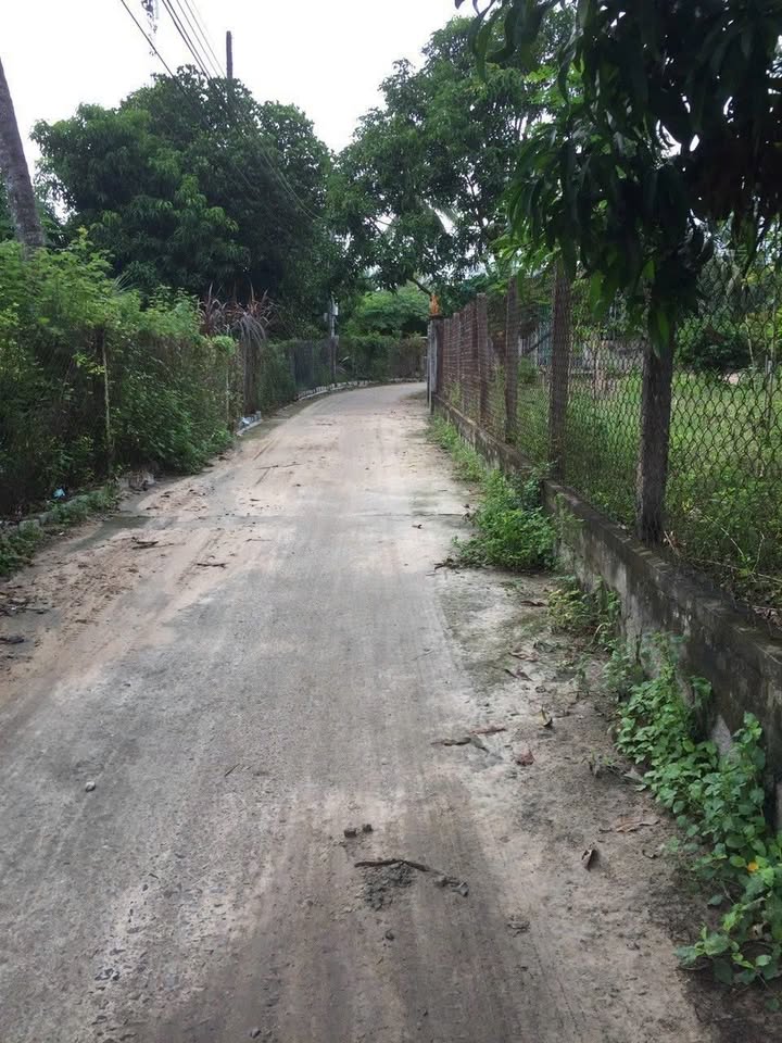 Đất thổ cư Cam Tân 551m² chỉ 2.1 tỷ - Cơ hội đầu tư tuyệt vời!