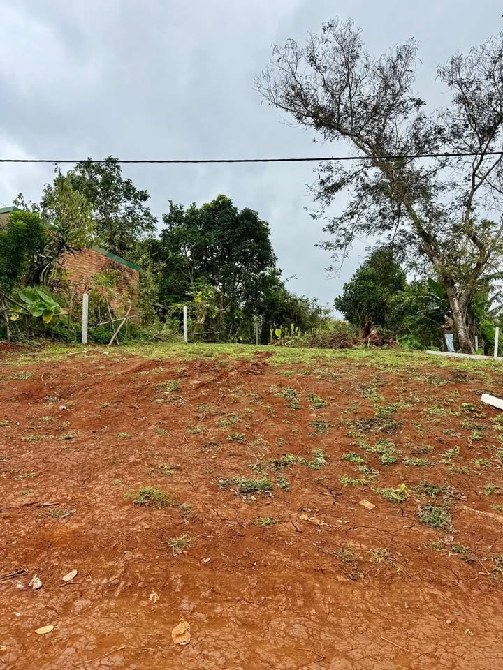 Đất nền An Lạc Buôn Hồ 240m² giá 99 triệu - Cơ hội đầu tư tuyệt vời!