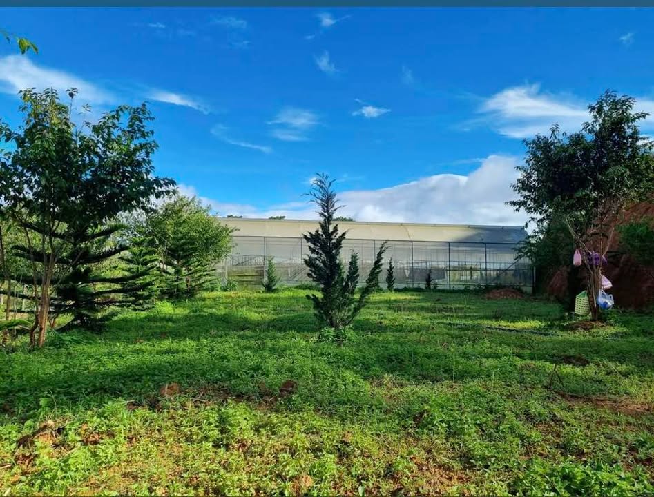 Đất nền đầu tư Đạ Sar Lâm Đồng 5000m² giá 8 tỷ - View đẹp, tiện nghi