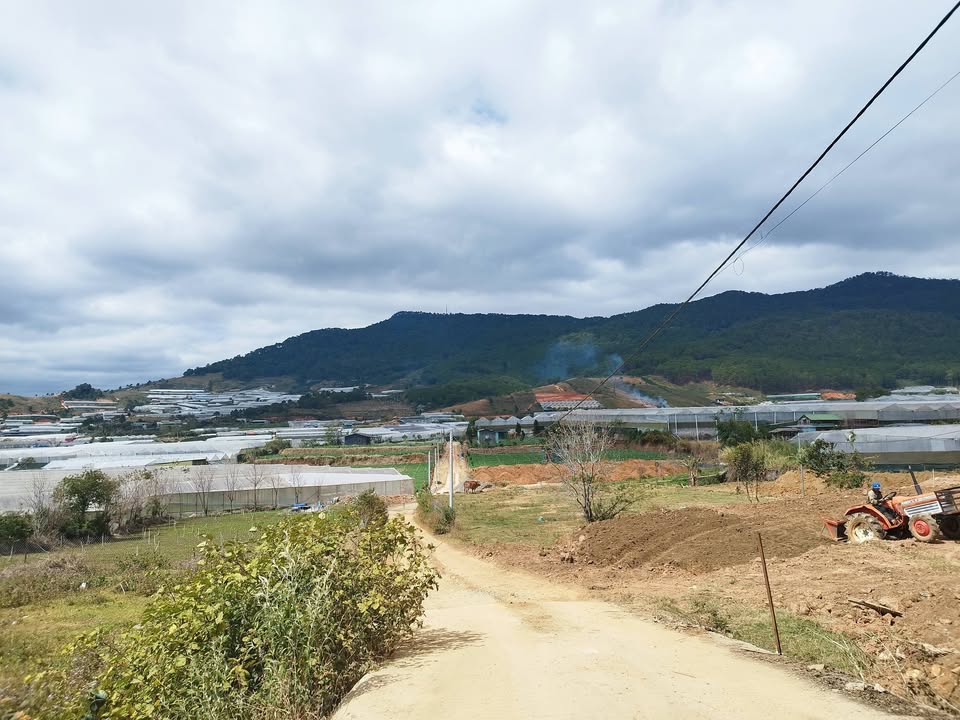 Đất nông nghiệp 542m² tại phường Lang Biang, Đà Lạt - Sổ đỏ riêng, giá chỉ 2.1 tỷ!