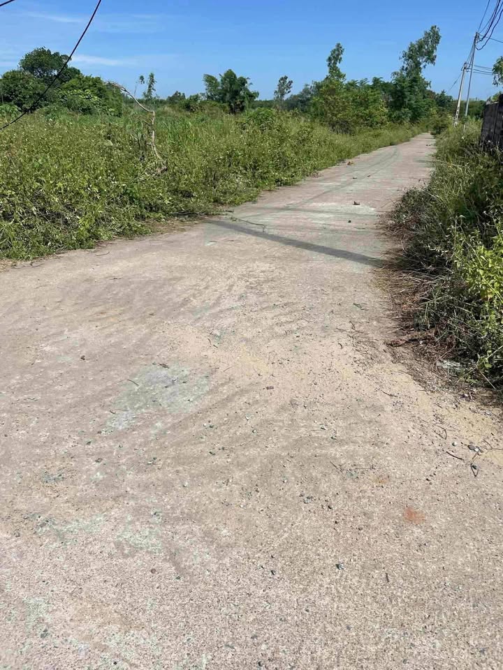 Đất nền Lý Trạch Bố Trạch 220m² giá 800 triệu - Bán gấp cần tiền!