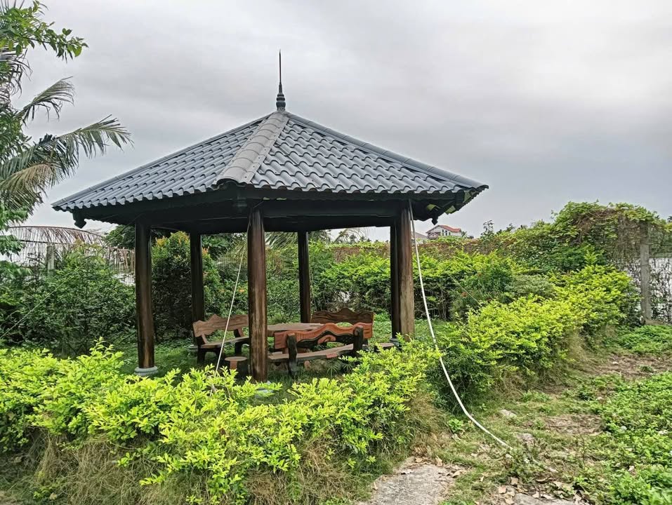 Nhà vườn Hòa Nghĩa, Dương Kinh 483m² - View sông He tuyệt đẹp!