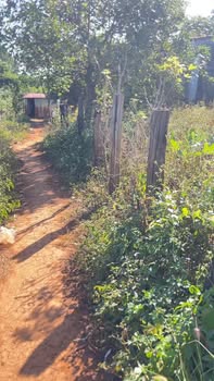 Đất nền 450m² xã Ia Dom, Đức Cơ - Giá chỉ 300 triệu, sổ đỏ chính chủ!