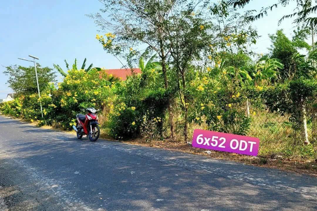 Đất thổ cư Dương Xuân Hội, Châu Thành, Long An 308m² - Đầu tư sinh lời ngay!