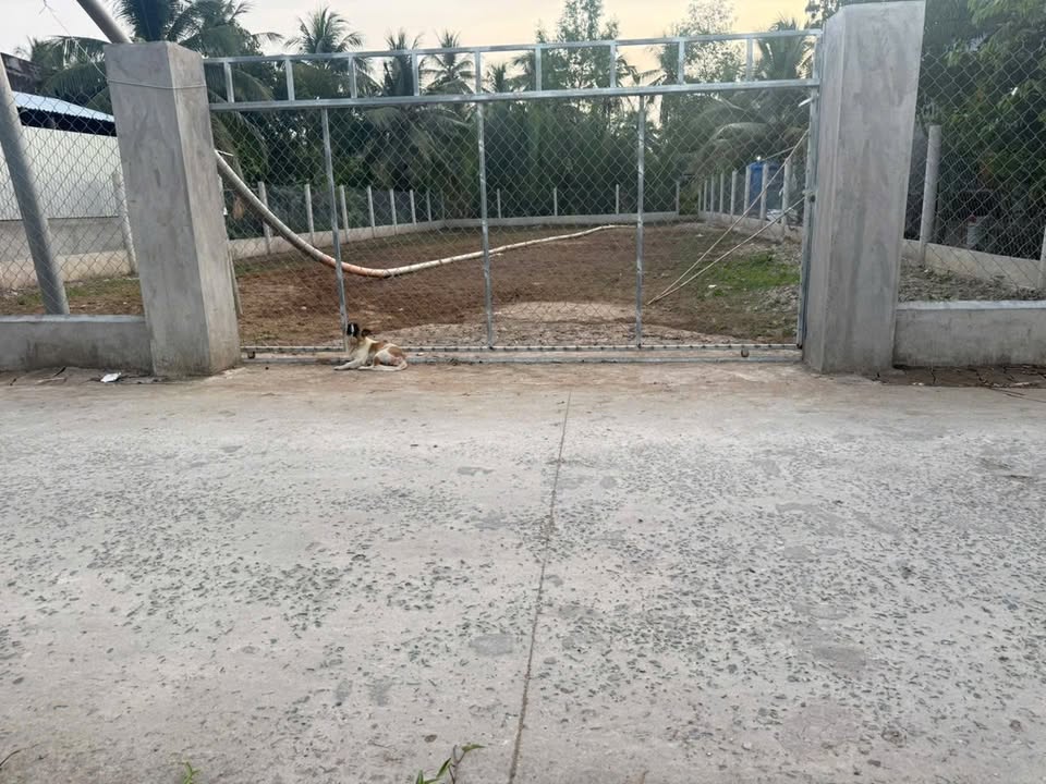 Đất nền Khánh Thạnh Tân Mỏ Cày Bắc 540m² giá 1 tỷ - Cơ hội đầu tư hấp dẫn!