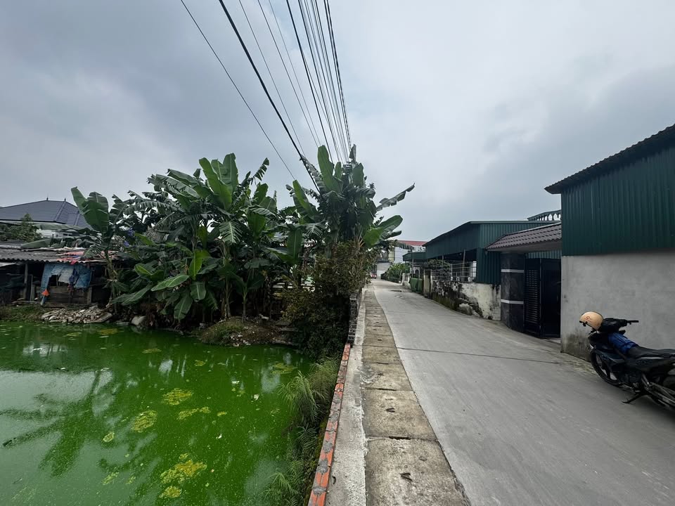 Đất nền mặt tiền 5m tại Quảng Thịnh, Thanh Hóa 95m² - Giá đầu tư chỉ 1.1 tỷ!