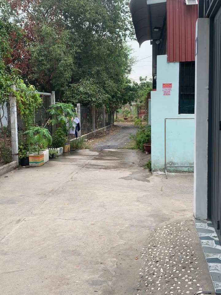 Nhà nguyên căn Ấp Bàu Sim, Củ Chi 3 triệu/tháng - Cổng cửa riêng, điện nước sạch