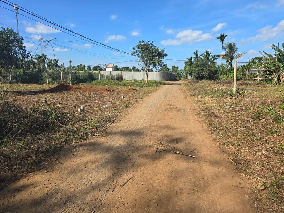 Đất nền Tara Hòa Đông 125m² giá 700 triệu - Vị trí đắc địa đầu tư sinh lời!