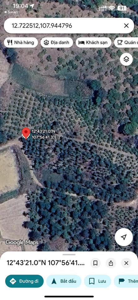 Đất nông nghiệp Ea Nuôl Buôn Đôn 27.000m² giá 1.84 tỷ - Cơ hội đầu tư tuyệt vời!