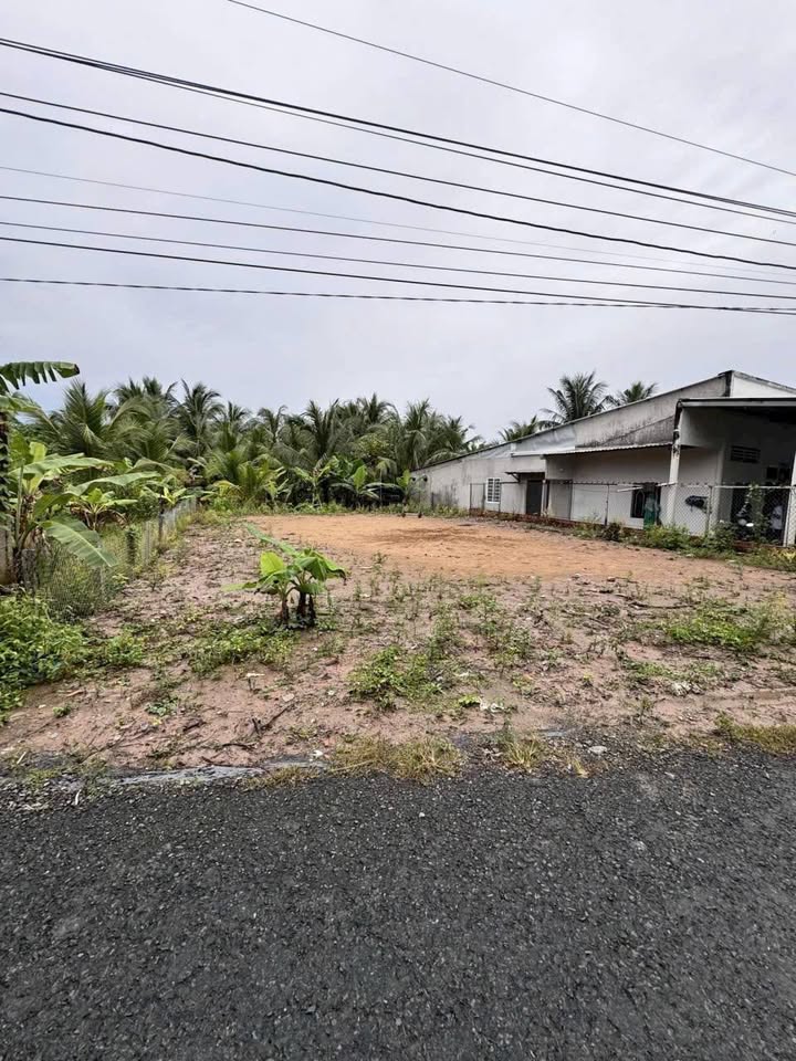 Đất mặt tiền phường Tân Hạnh, Long Hồ 230m² giá chỉ 1 tỷ - Đầu tư sinh lời ngay!