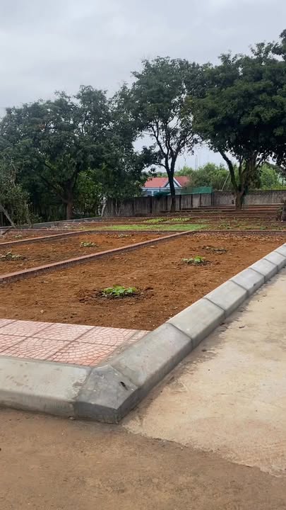 Đất mặt tiền lô góc Xuân Khanh Sơn Tây 71m² giá 1 tỷ - Đường ô tô thuận tiện!