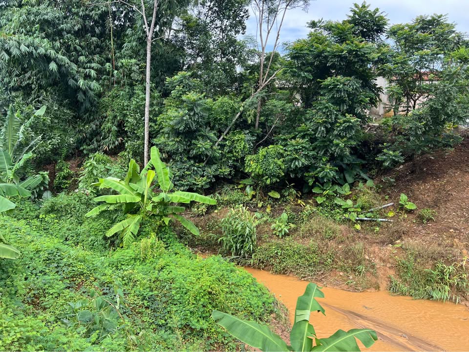 Đất nền nghỉ dưỡng Liên Sơn Lương Sơn 3000m² - Cơ hội đầu tư lý tưởng!