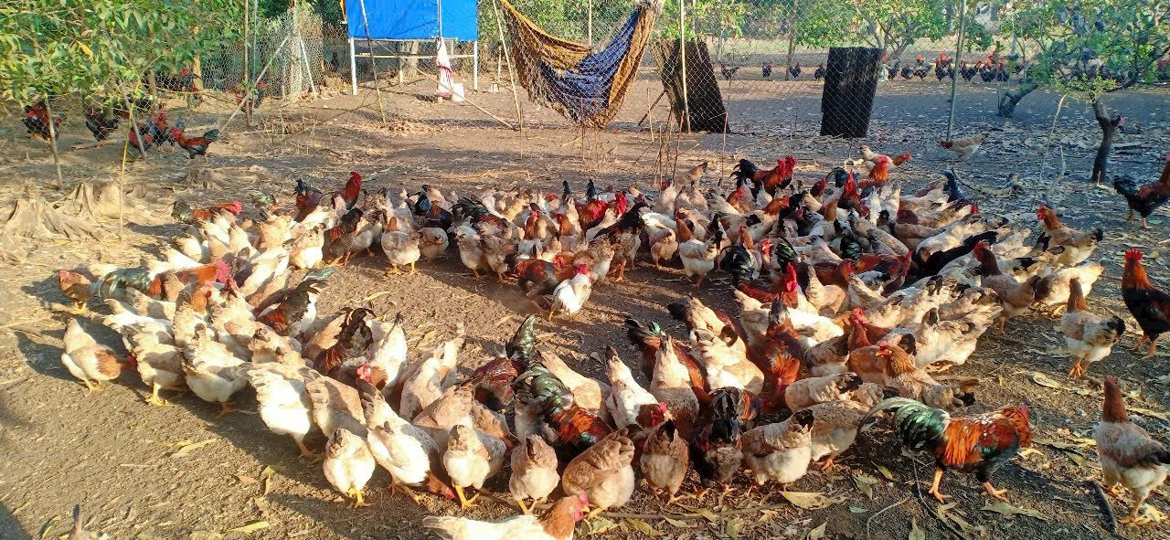 Nhà phố Khu Dân Cư An Thuận, Long An 92.5m² giá 2 tỷ - Đầu tư sinh lời hấp dẫn!