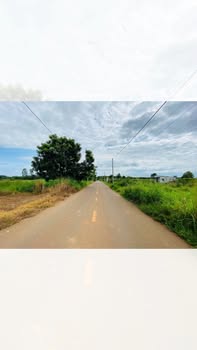 Đất thổ cư mặt tiền Cách Mạng Tháng 8, Đất Đỏ 647m² giá 2.35 tỷ - Cơ hội đầu tư tuyệt vời!