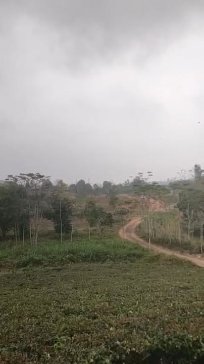 Đất thổ cư xã Minh Hòa, Yên Lập, Phú Thọ 4000m² giá 1 tỷ - Đầu tư sinh lời ngay!