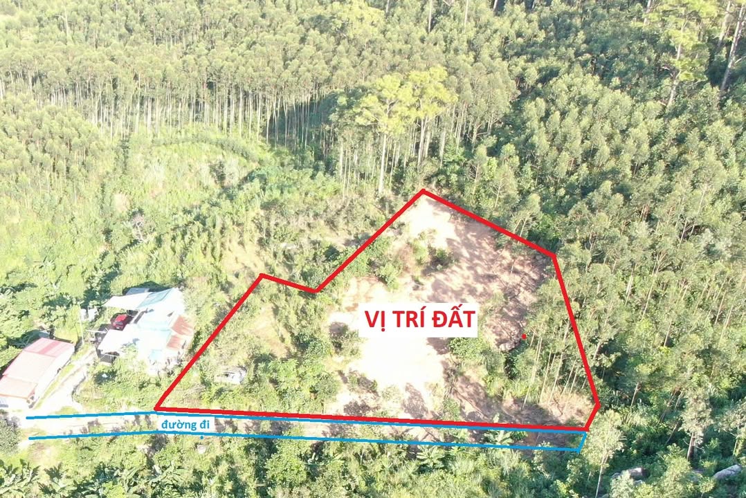 Đất nền Việt Hưng Hạ Long 2827m² giá chỉ 2 triệu/m² - Không khí trong lành, lý tưởng cho trang trại!