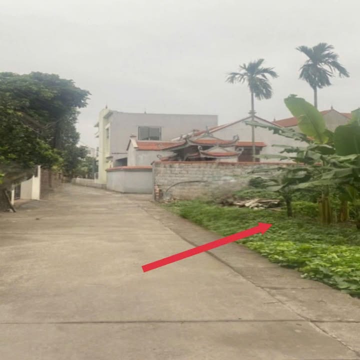 Đất nền 550m² tại Đông Tảo, Khoái Châu, Hưng Yên - Sổ đỏ chính chủ, giá tốt