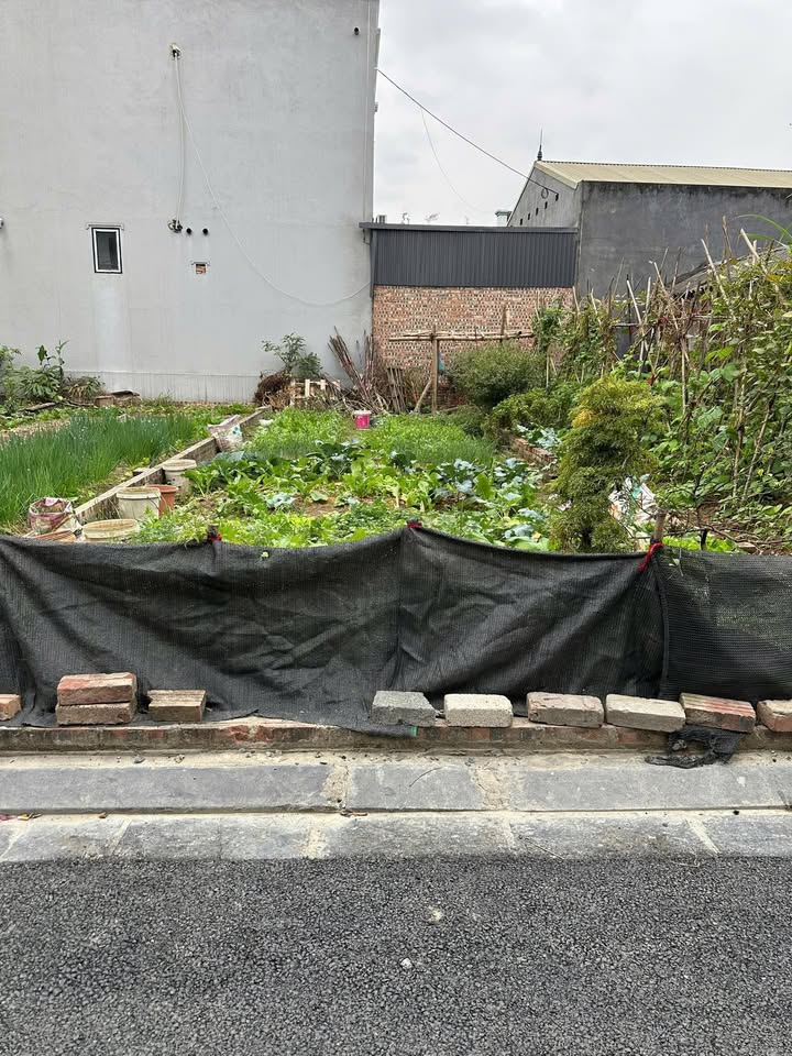 Đất nền 62m² tại Xuân Nộn, Đông Anh - Đường ô tô thông thoáng, giá thỏa thuận!