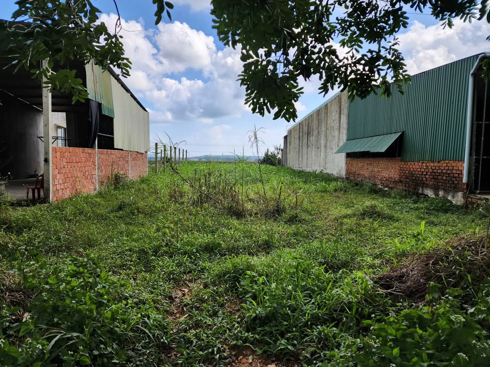 Đất thổ cư Tịnh Thọ 250m² giá thỏa thuận - Khu dân cư an ninh cao