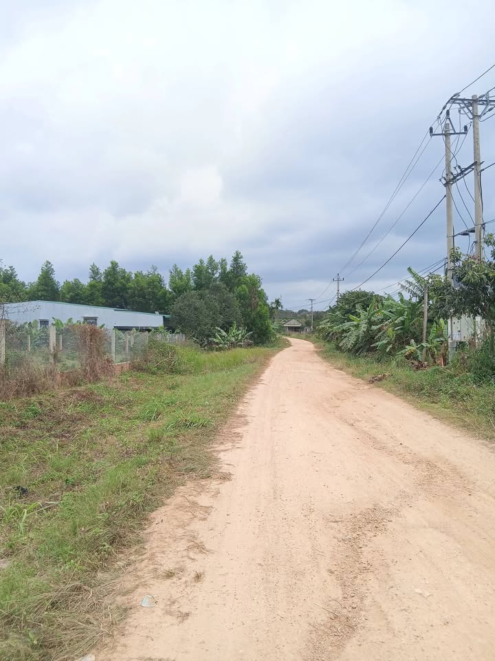 Đất mặt đường Ea Đar, Ea Kar 1920m² giá chỉ 60 triệu - Đầu tư sinh lời tuyệt vời!