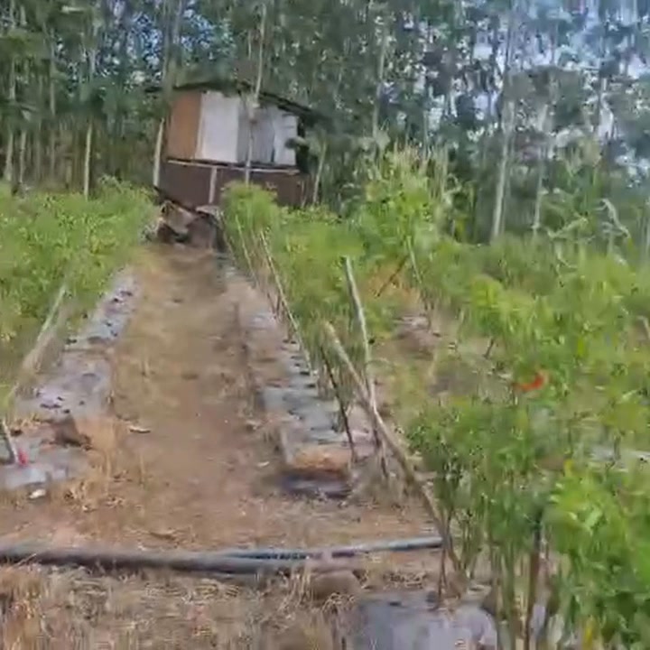 Đất nền xã Thống Nhất 13000m² giá 850 triệu - Sổ riêng, mặt tiền 60m!