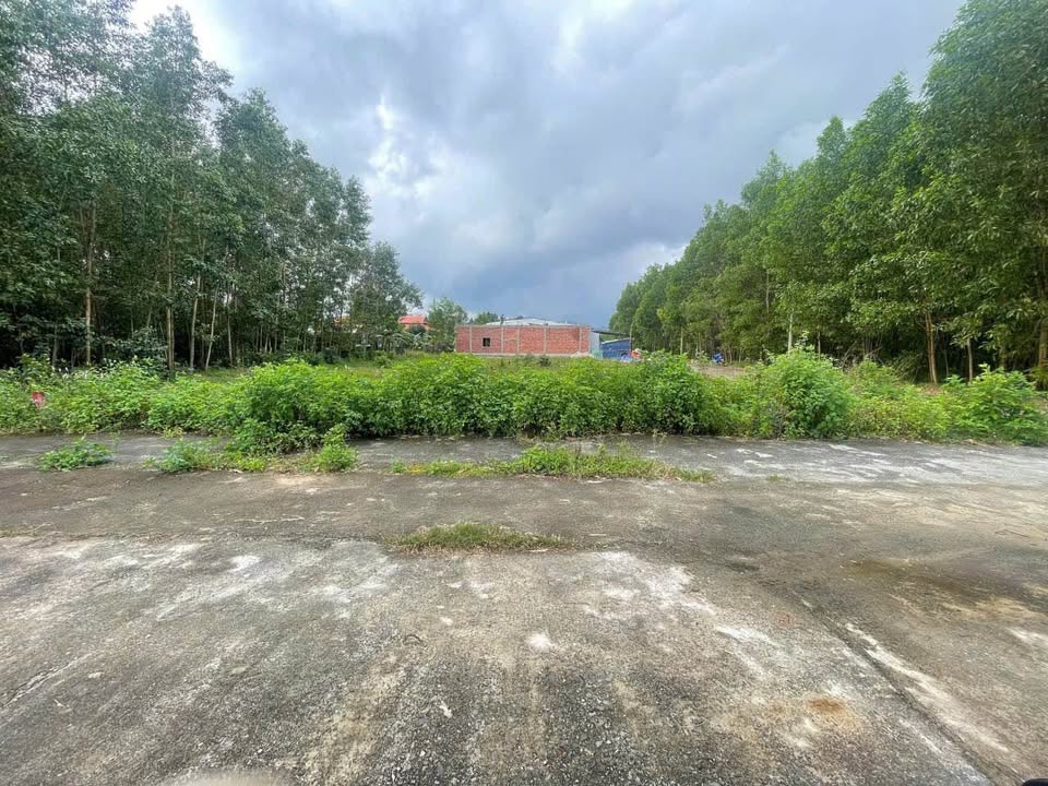 Đất nền Hòa Vang Đà Nẵng 135m² giá 12xx triệu - Cơ hội đầu tư hấp dẫn!