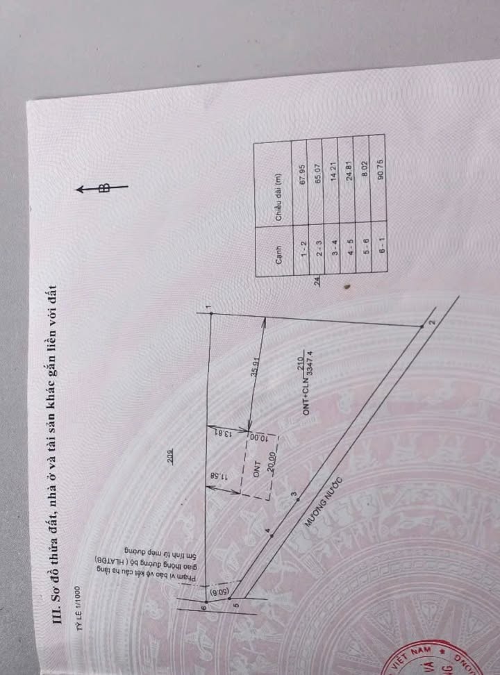 Đất nền Tân Hưng Bàu Bàng 33.000m² chỉ 3,3 tỷ - Sổ đỏ chính chủ, đầu tư sinh lời!