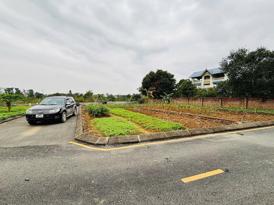 Đất nền Phú Cát Quốc Oai 100m² - Lô góc, thổ cư, mặt tiền 10m