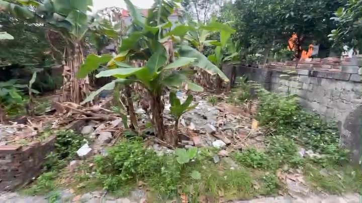 Đất thổ cư 70m² tại Lam Điền, Chương Mỹ - Tiện ích xung quanh đầy đủ!