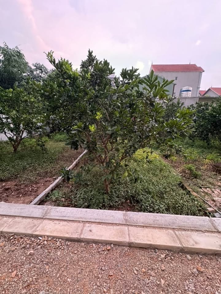 Nhà riêng Đào Xuyên Đa Tốn 66m² giá 4.358 tỷ - Vị trí đắc địa, tiềm năng tăng giá cao!