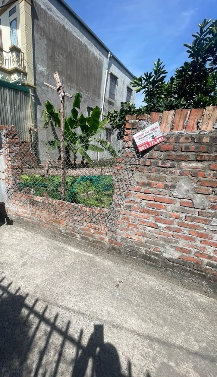 Đất nền Kim Sơn Gia Lâm 59.5m² giá 3.1 tỷ - Nở hậu tài lộc!