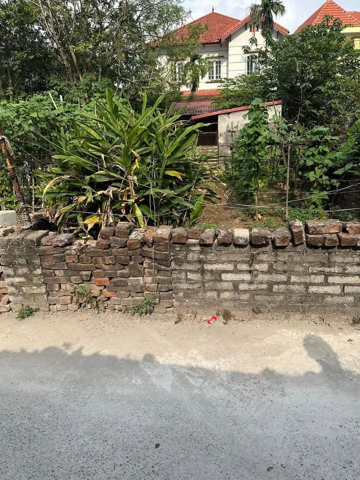 Đất nền Dương Hà, Gia Lâm 81,6m² giá 4.7 tỷ - Vị trí đẹp, đầu tư sinh lời!