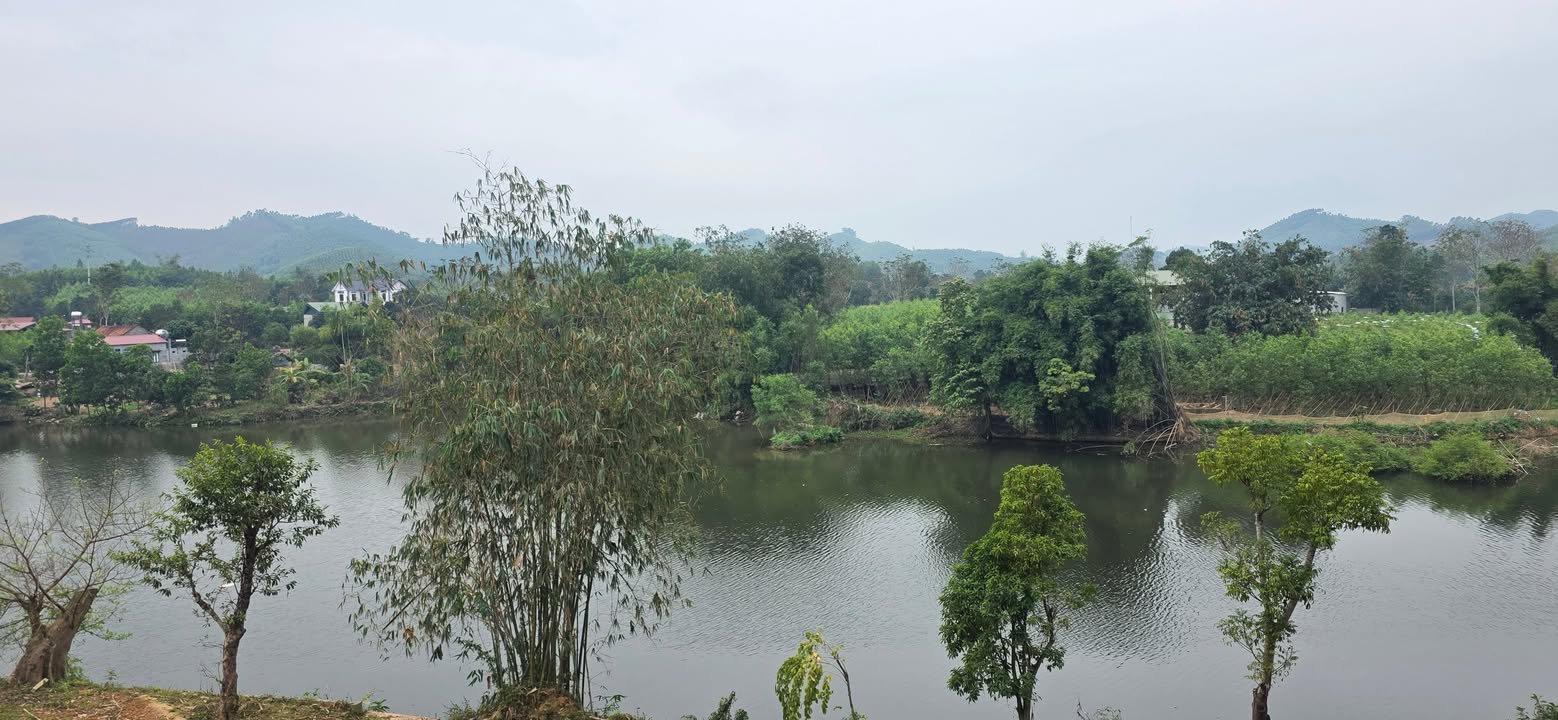 Bán lô đất 150m² đường Tam Tiến, Yên Thế - Gần trường THPT Mỏ Trạng