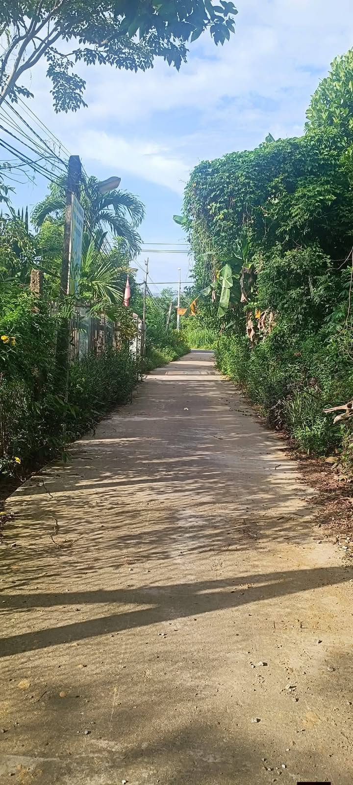 Đất Tam Thái (củ) Hòa Vang 140m² giá 530 triệu - Đầu tư sinh lời tuyệt vời!