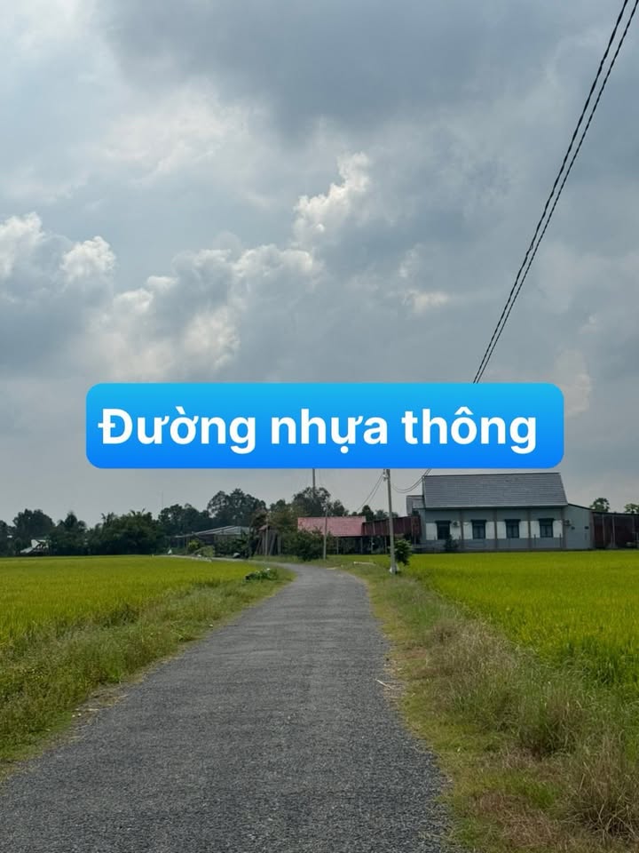 Đất thổ cư 185m² xã Long Thuận, huyện Bến Cầu, Tây Ninh - Sổ hồng chính chủ, giá 370 triệu!