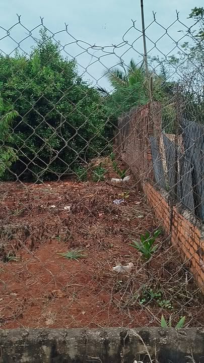 Lô đất Đoàn Thị Điểm Phước An 326.9m² giá chỉ 3 triệu - Đầu tư sinh lời ngay!